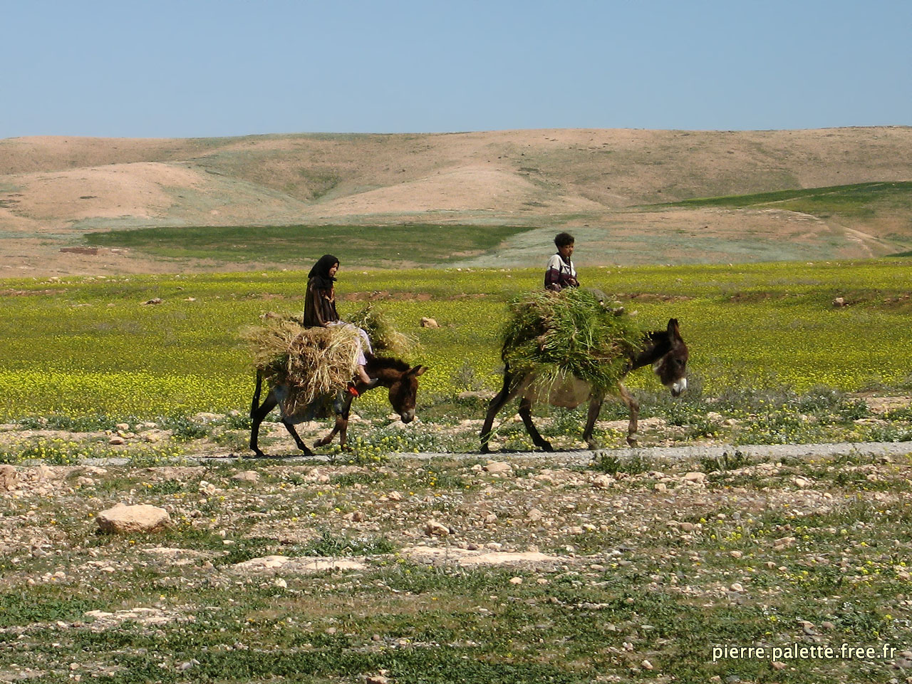 bMaroc 118__ copie